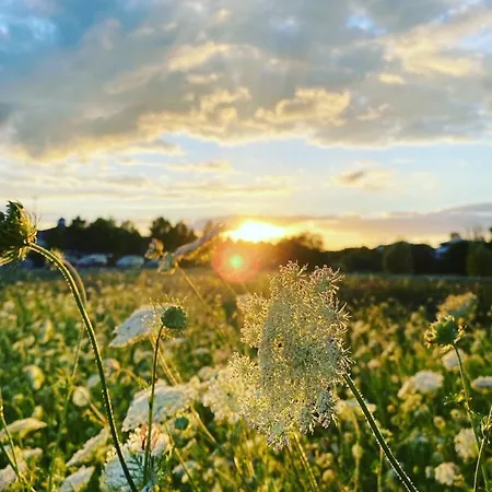 Prázdninový dům Ferien_haus Arkadien *
